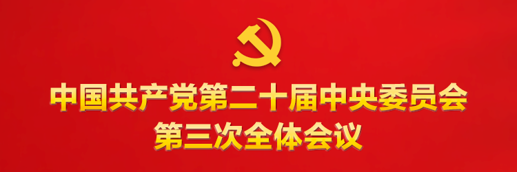 党的二十届44118太阳成城集团中全会